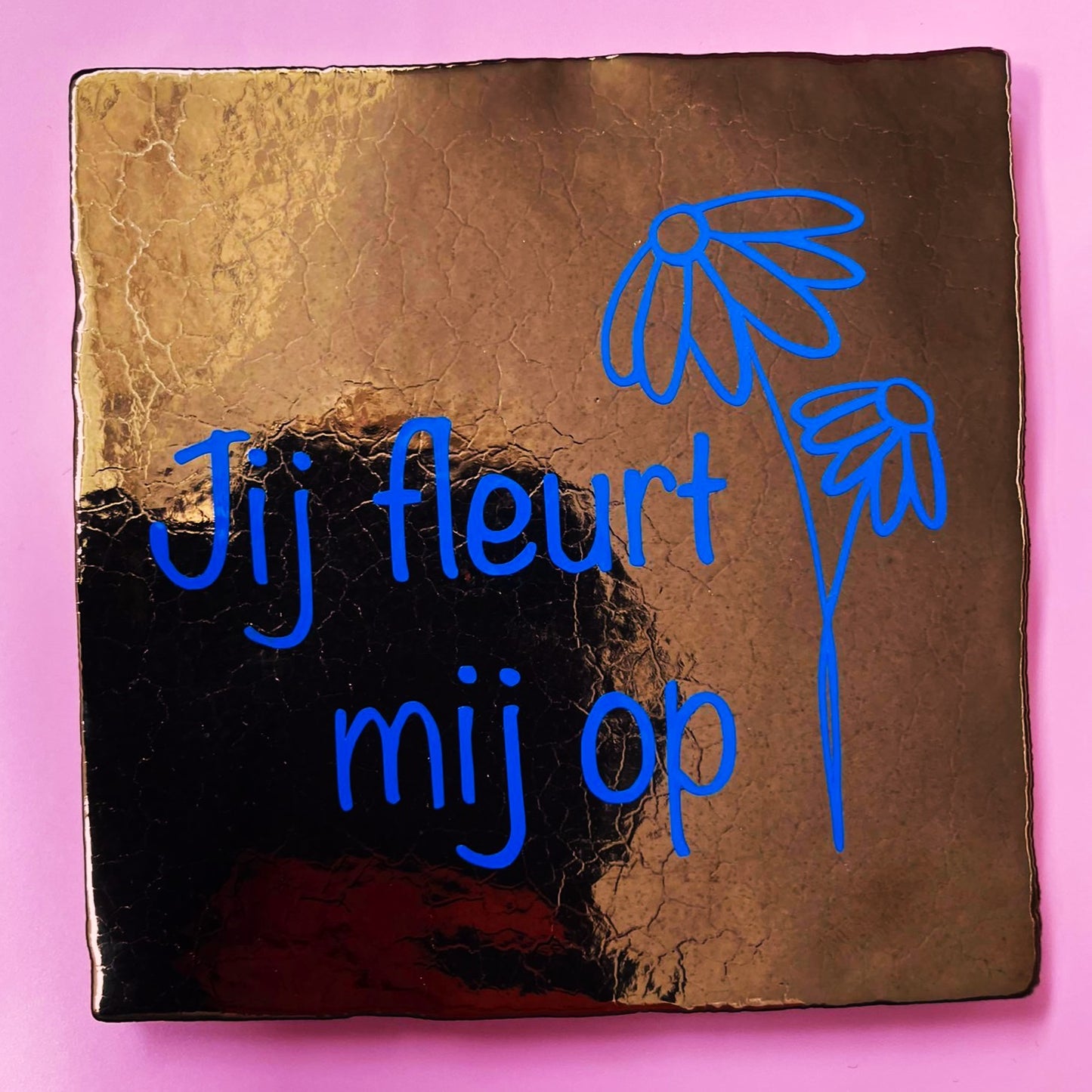 Tegeltje jij fleurt mij op