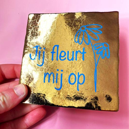 Tegeltje jij fleurt mij op