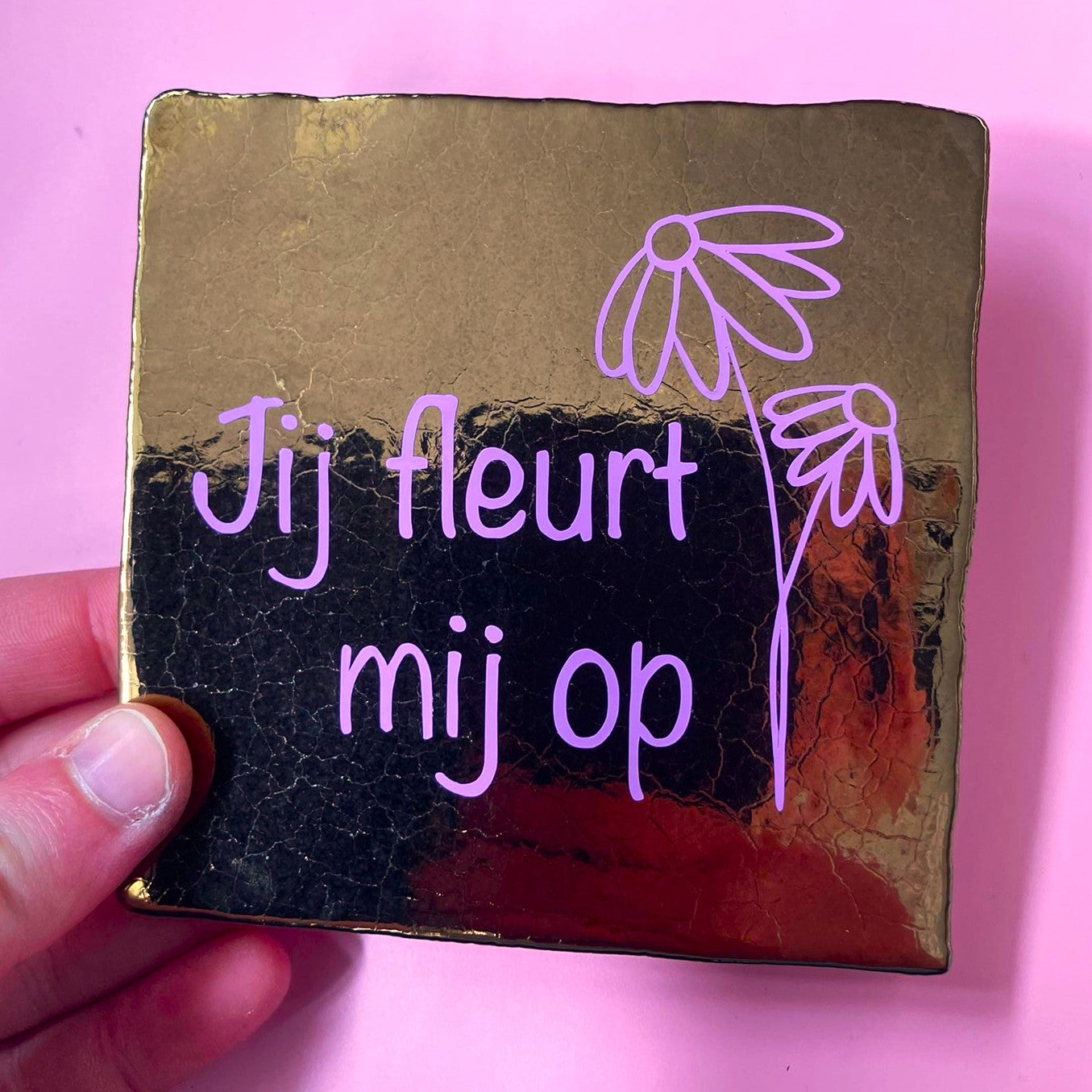 Tegeltje jij fleurt mij op